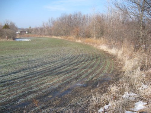 Property photo 6 - 1900's All Brick Home, Metal Frame Barn on 3.42 Acres